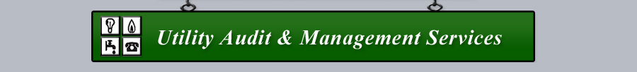 Utility Audit & Management Services